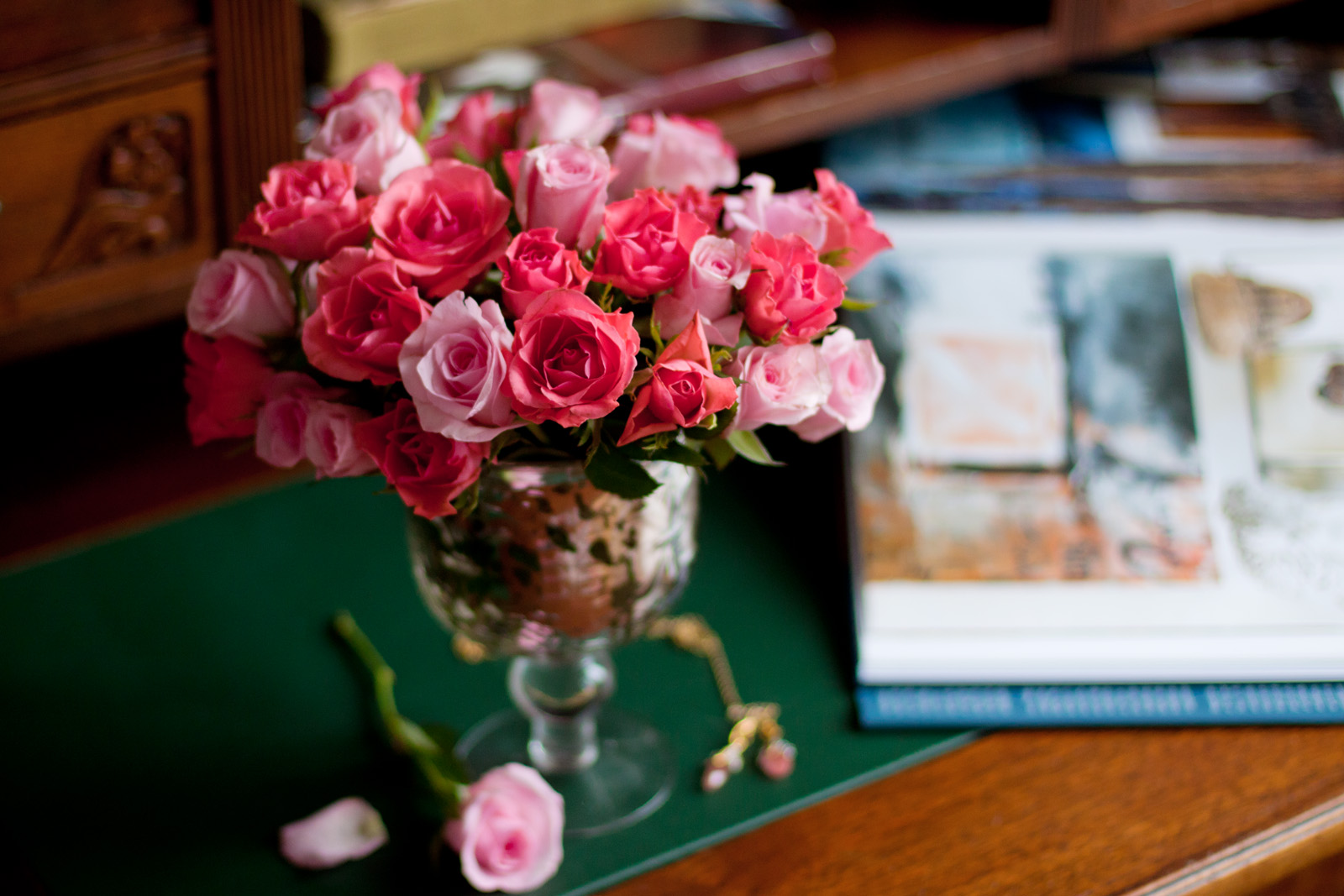 frames-and-roses-06