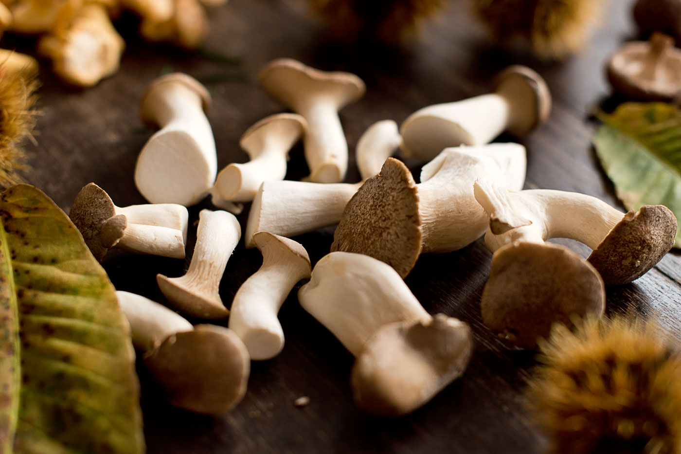 waldpilze-forest-mushrooms-pilzwarenkunde-rezept-shiitake-steinpilz-pfifferlinge-kraeuterseitlinge-foodbog-5