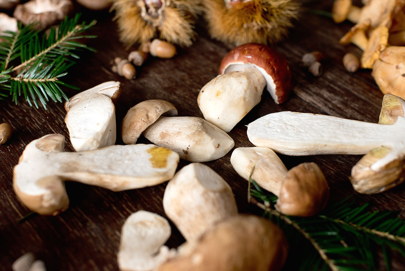 waldpilze-forest-mushrooms-pilzwarenkunde-rezept-shiitake-steinpilz-pfifferlinge-kraeuterseitlinge-foodbog